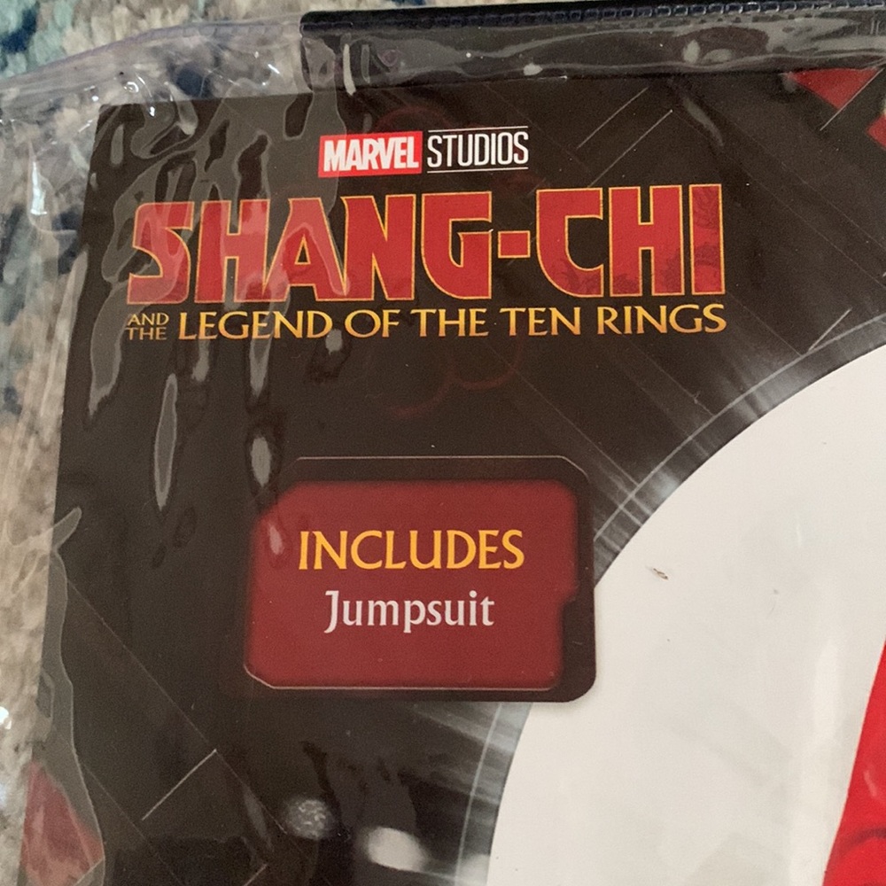 Shang-Chi and the Legend of the Ten Rings Costume - Picture 2 of 5